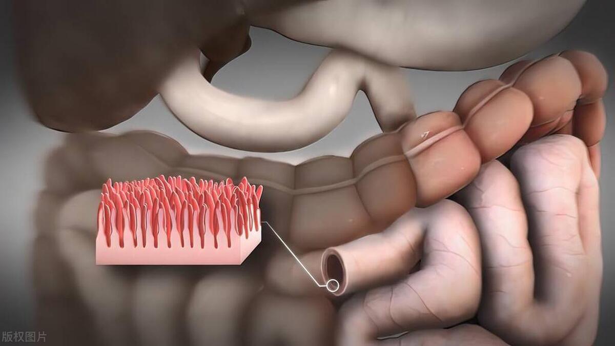 饭后肚子胀痛是怎么回事,饭后肚子胀痛怎么回事