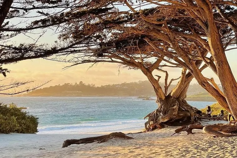 卡梅尔的现代指南:古朴的海边住宿,种植的美食+葡萄酒
