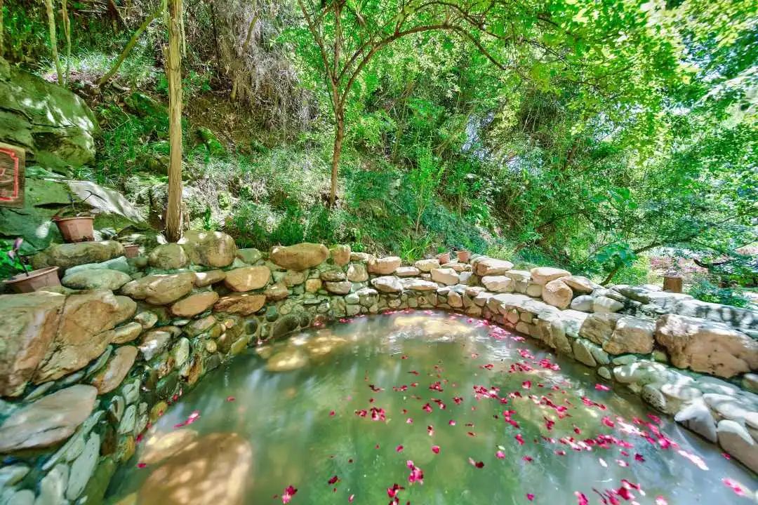 冬天这么冷去北温泉泡泡温泉可好,春寒来了怎么养生