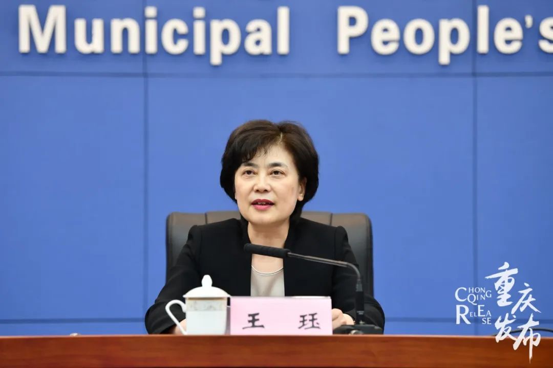 国际友人来重庆,国际友人到访中国