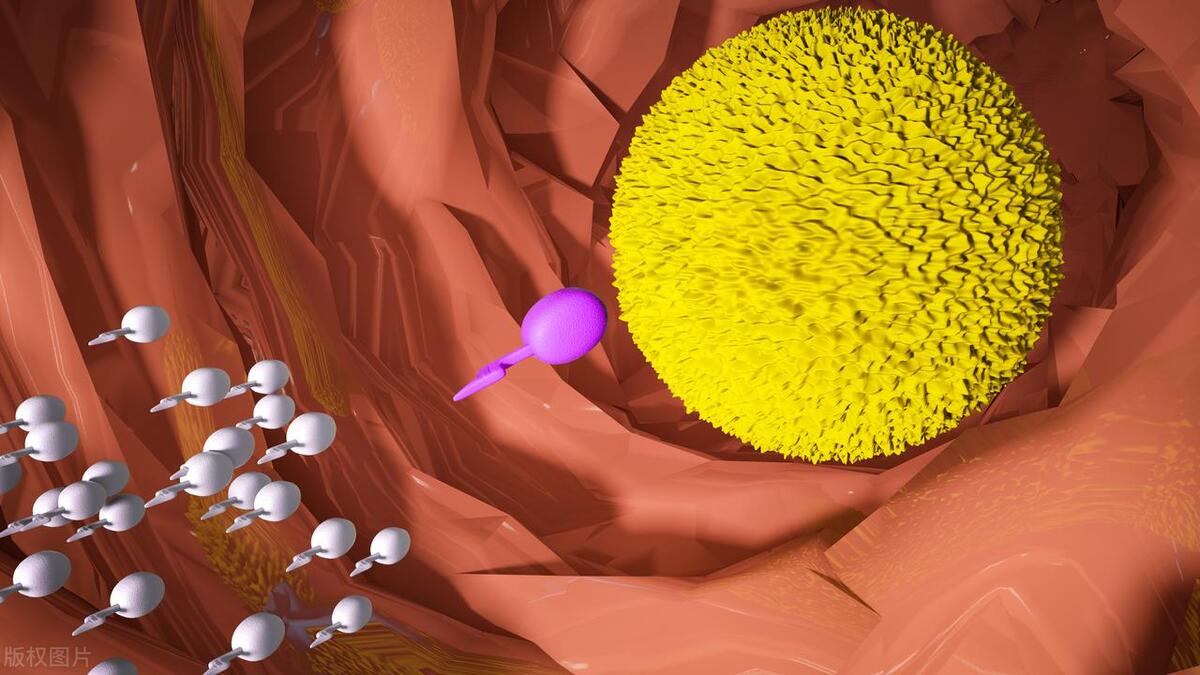 男人不行是老了？有些其实是病，可用药！长期用“伟哥”注意2点