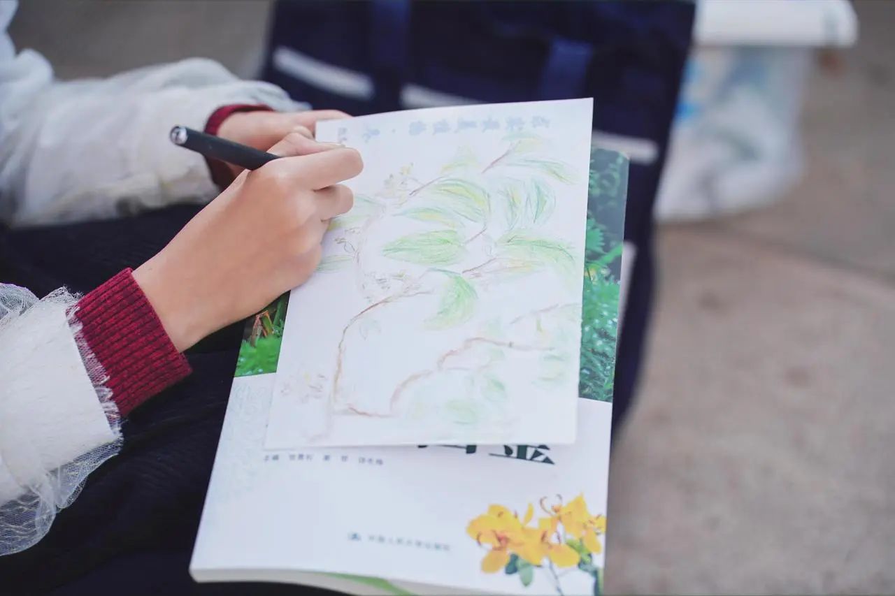 西南地区中小学美育高质量发展学术年会分会场在昆十中求...