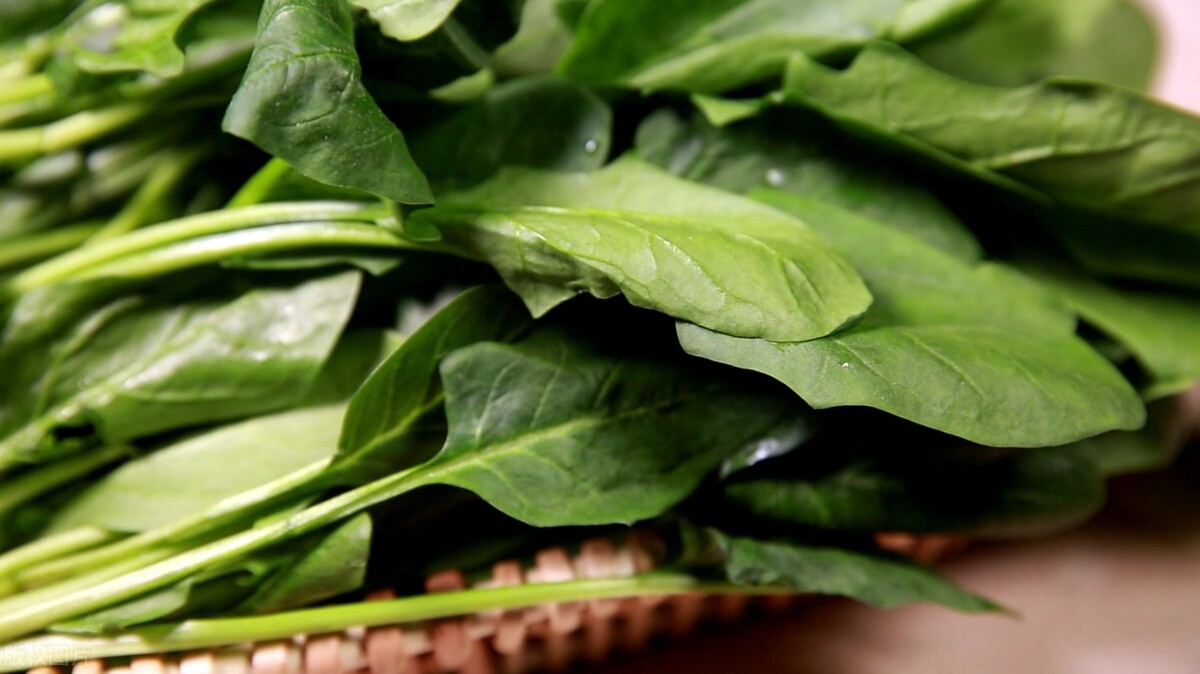 每逢佳节胖三斤学会这几招吃不胖,每逢佳节胖几斤3招让你快瘦快美