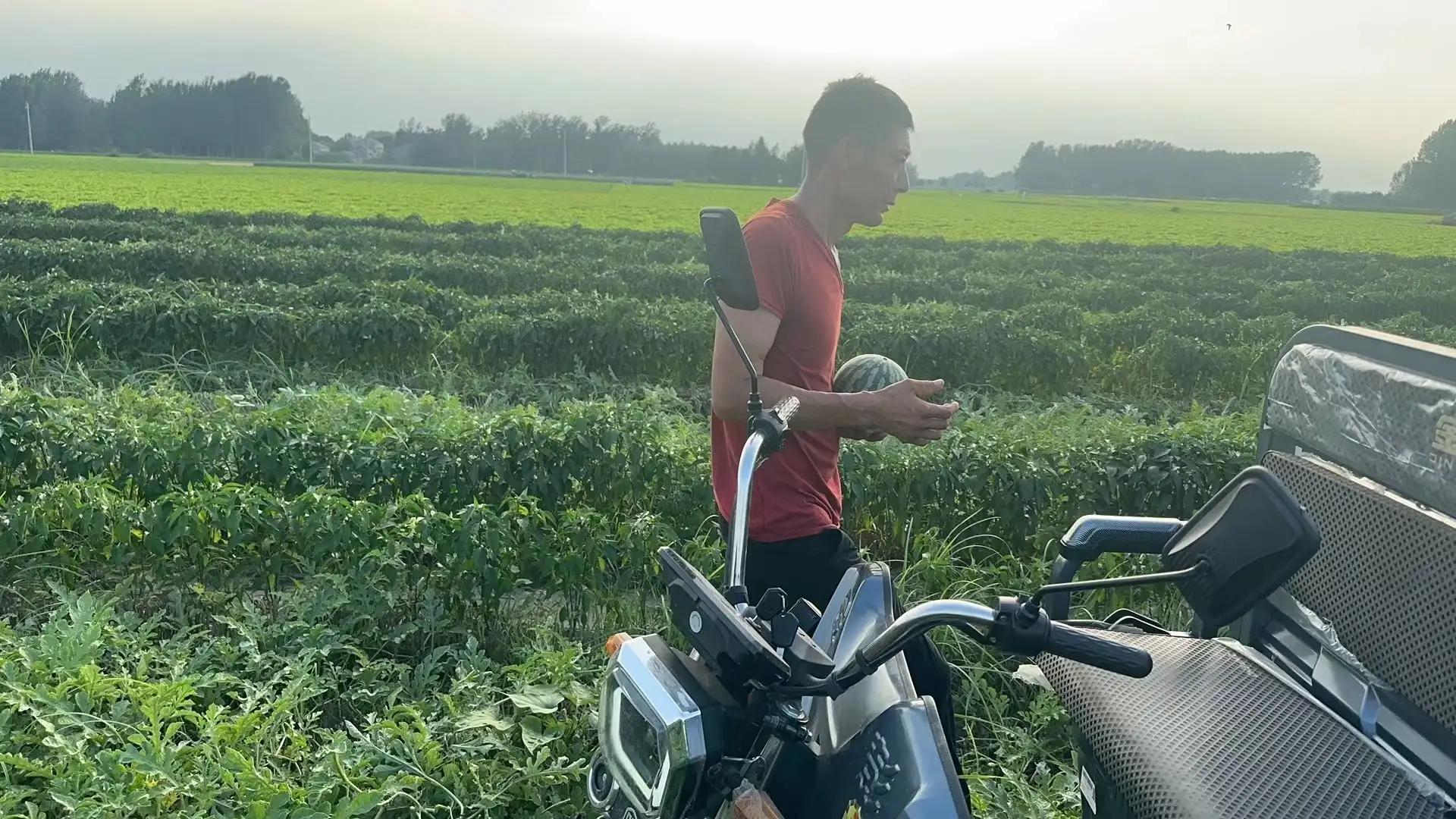 田园风光,田园风光诗词100首