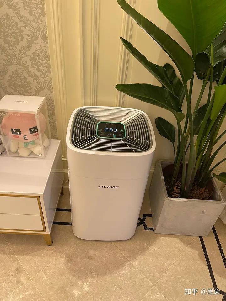 新房装修后如何快速去除甲醛味道,装修期间甲醛重吃啥能预防甲醛