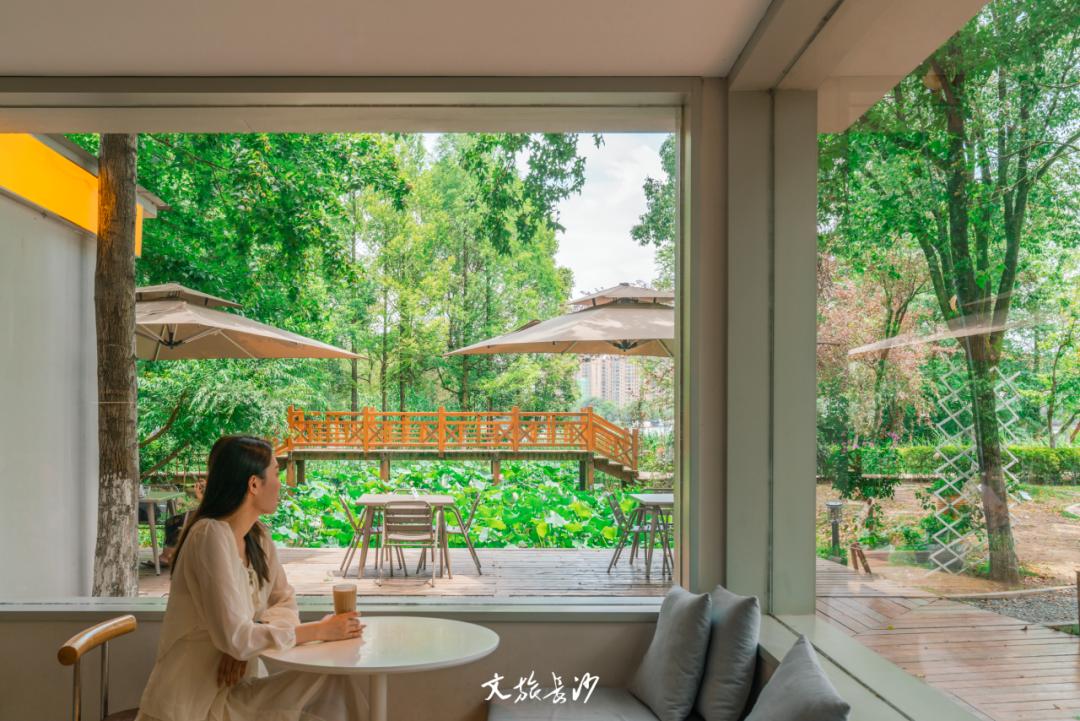 长沙赏秋去哪里,长沙第一波赏荷地图