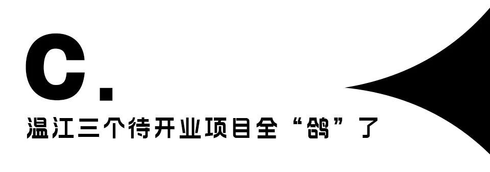 鸽王争霸,鸽王争霸赛开幕