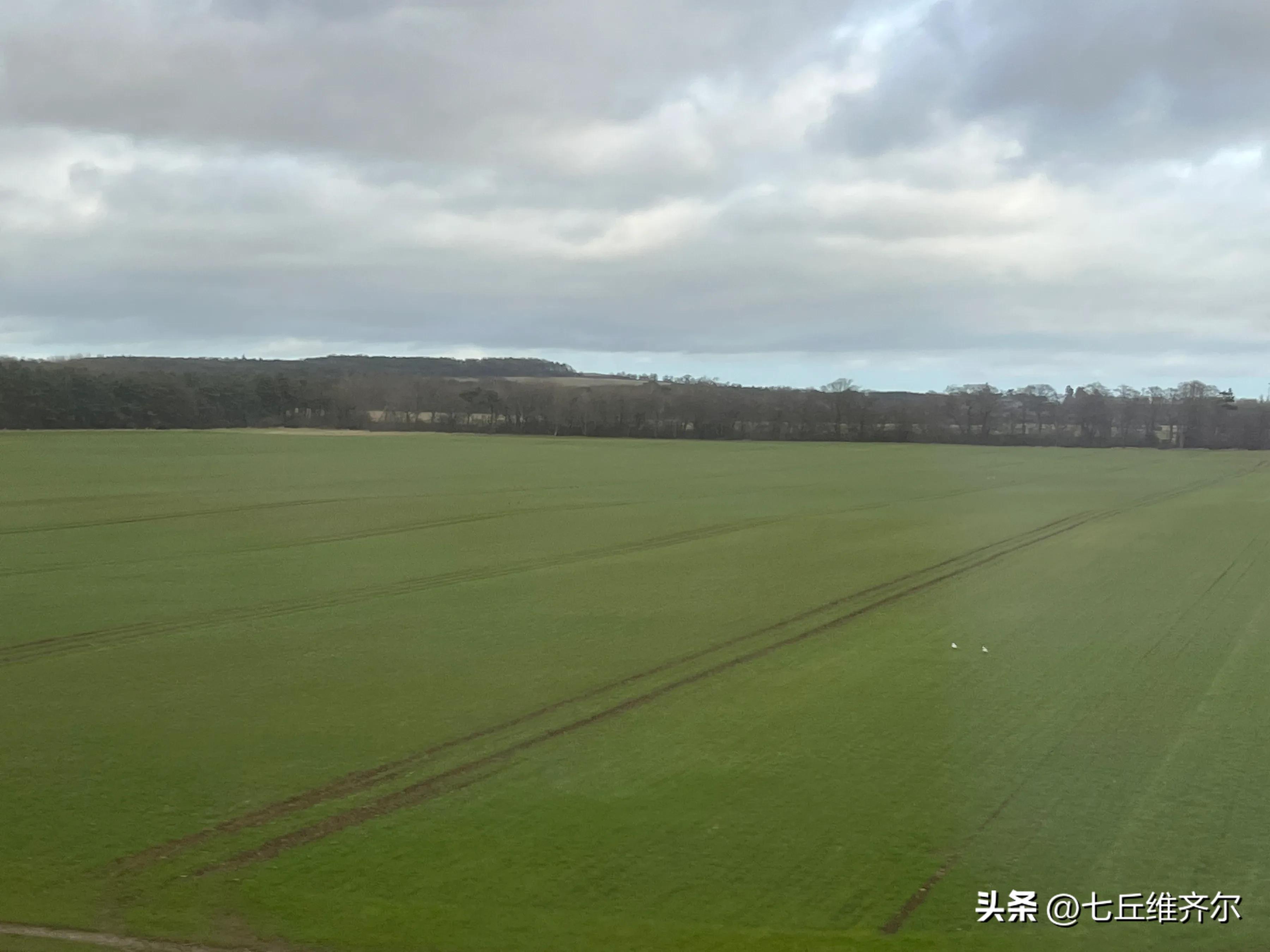 水肥草美牛羊壮上联,牛羊满圈的上联下联