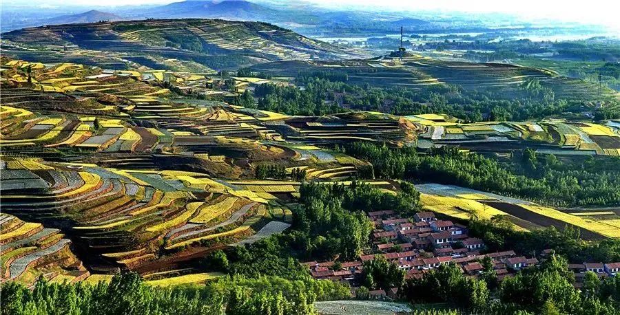 潍坊宝藏打卡地,潍坊旅游打卡必须去的地方