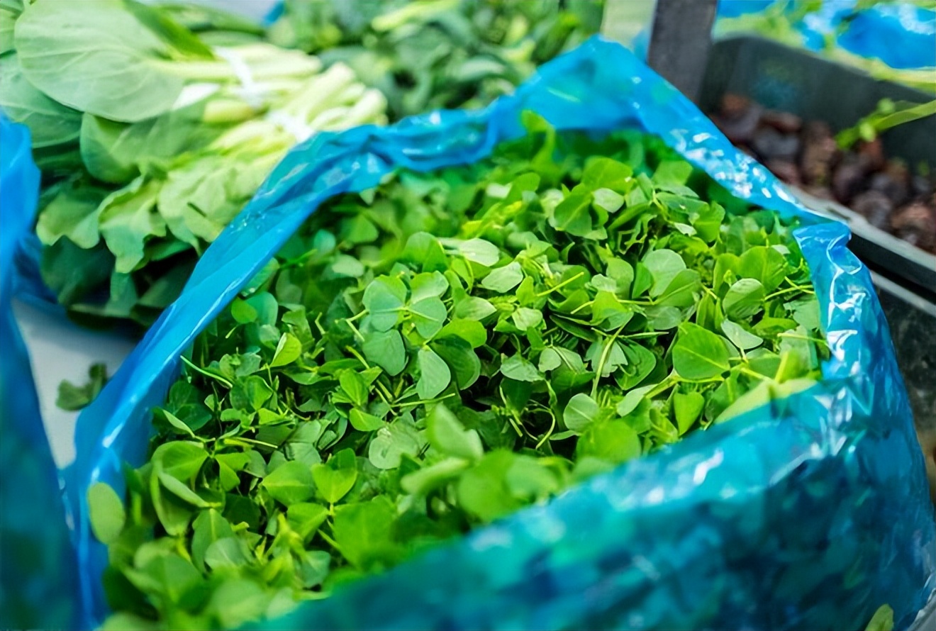 春分节气的民间习俗及禁忌,春节习俗讲解