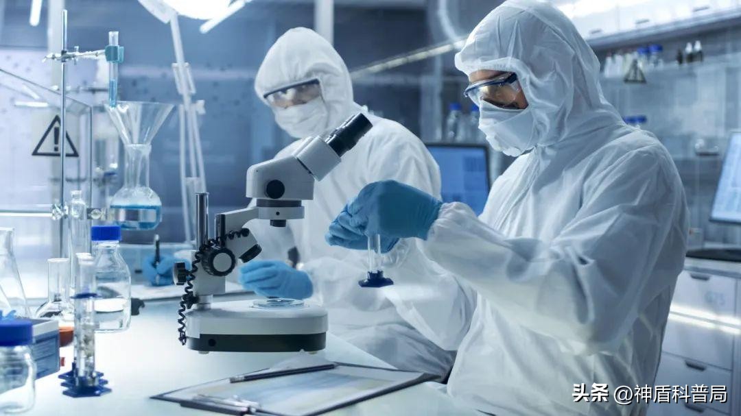 假如全球爆发新冠病毒,假如全国疫情结束会发生什么