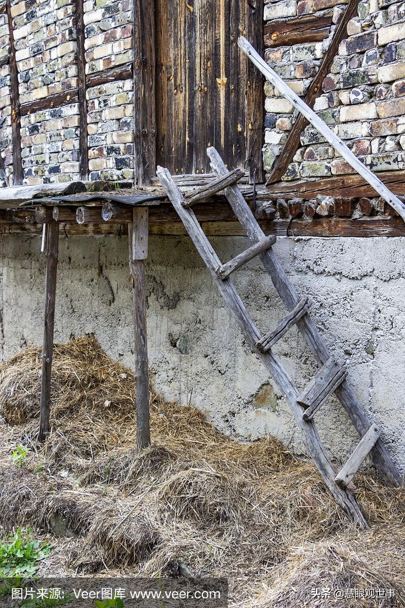 侯海洋基层风云为什么没有了,侯海洋基层风云完整小说