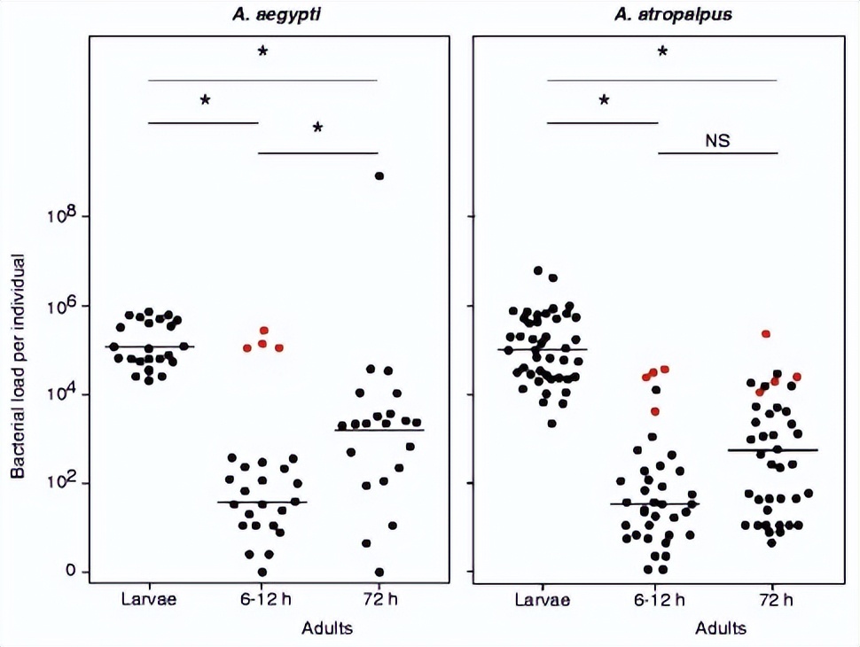 噬菌体侵染大肠杆菌实验细节,肉鸡用噬菌体