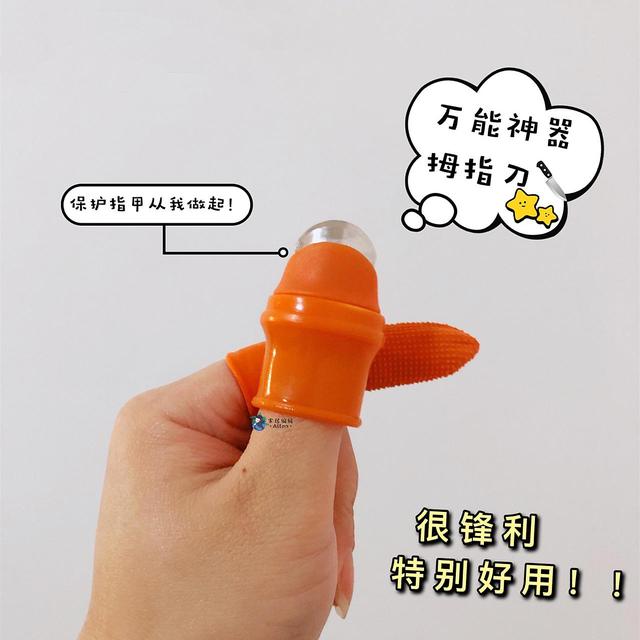 晒晒我家最值钱的东西,晒晒自己高品质的生活