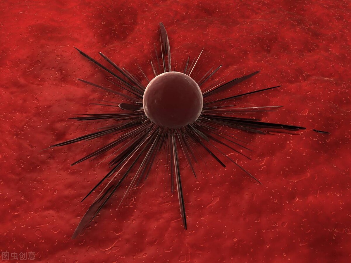 大豆油与玉米油菜籽油,花生油菜籽油大豆油区别