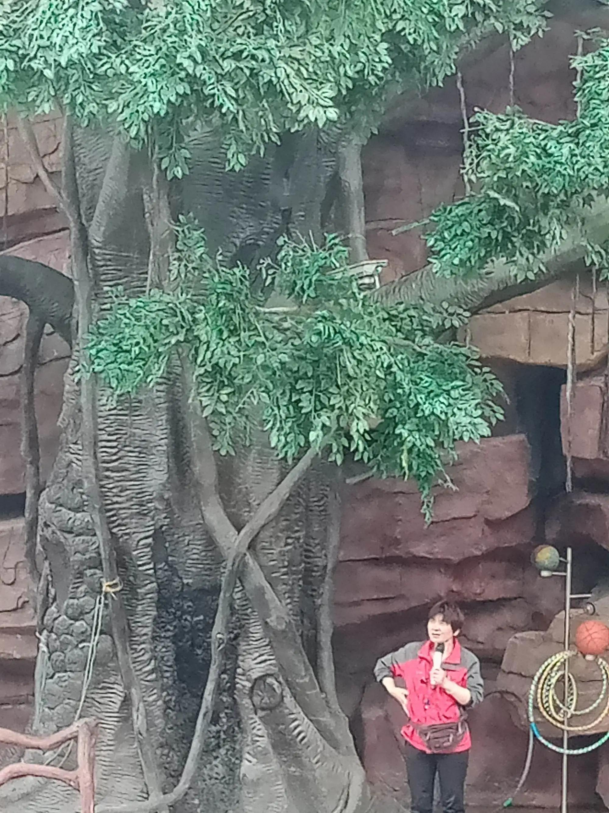 宜昌宜都当阳市组团江南六日游