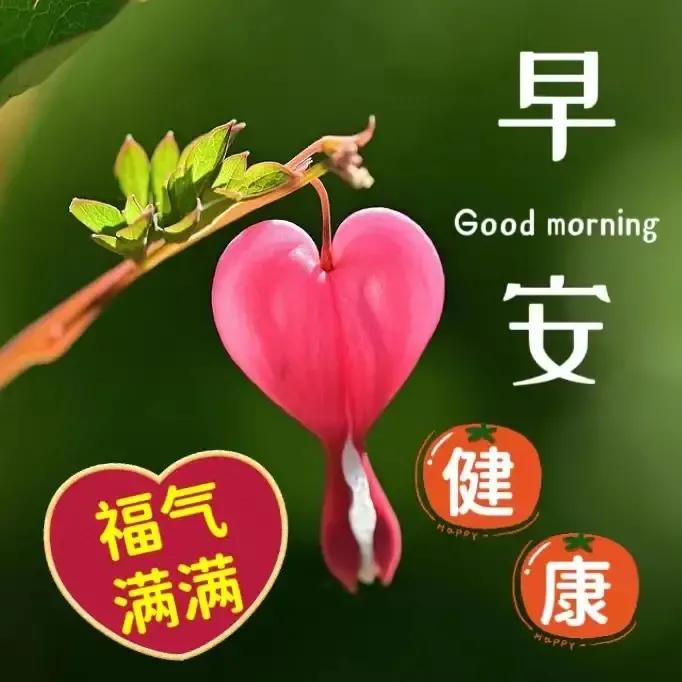 2023年02月27日星期一农历:癸卯年【兔年】二月初八八九第5天