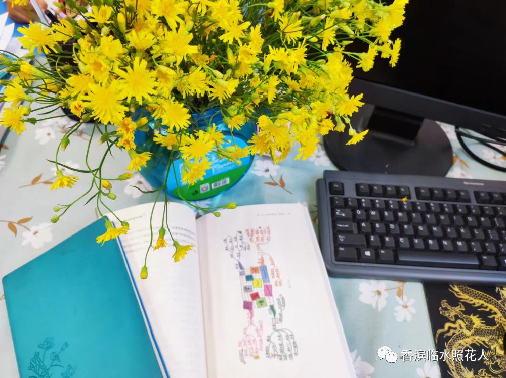 第十届创新作文大赛获奖作文,第十五届创新作文大赛作文题目