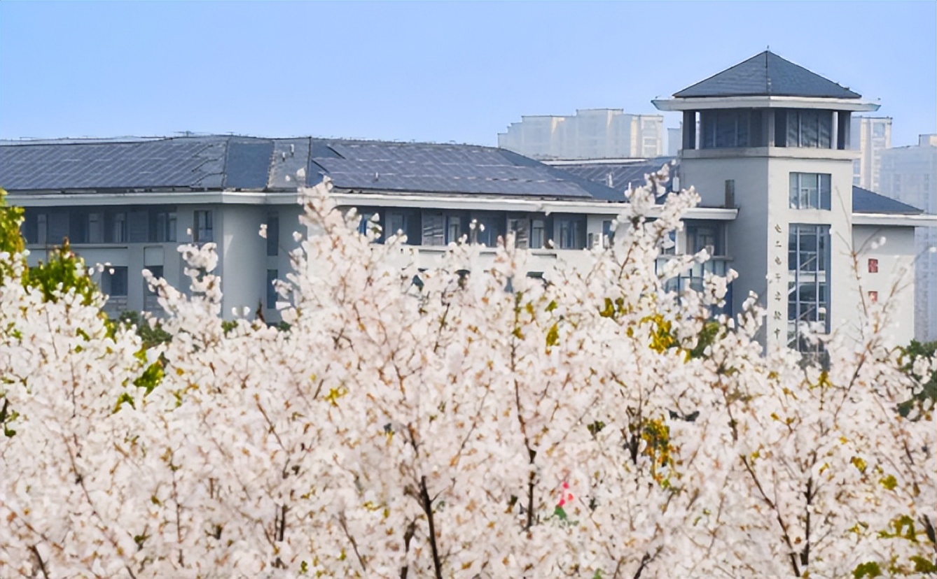 东南大学的短板在哪里,百年学府东南大学