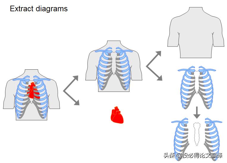 sci论文插图经典配色,sci中插图素材库