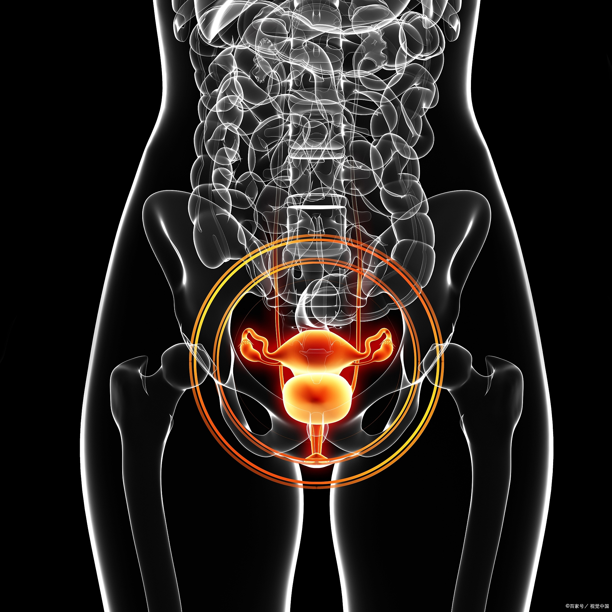 龙胆泻肝丸功效与作用祛湿气,龙胆泻肝丸有祛湿热的效果吗