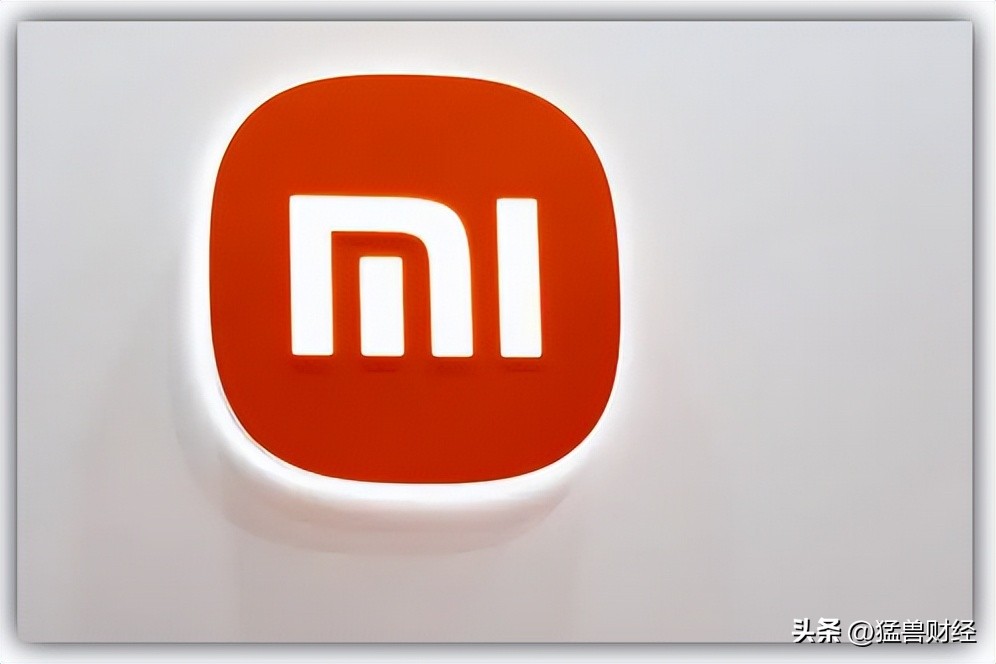 小米集团财务现状分析,小米集团最新前景