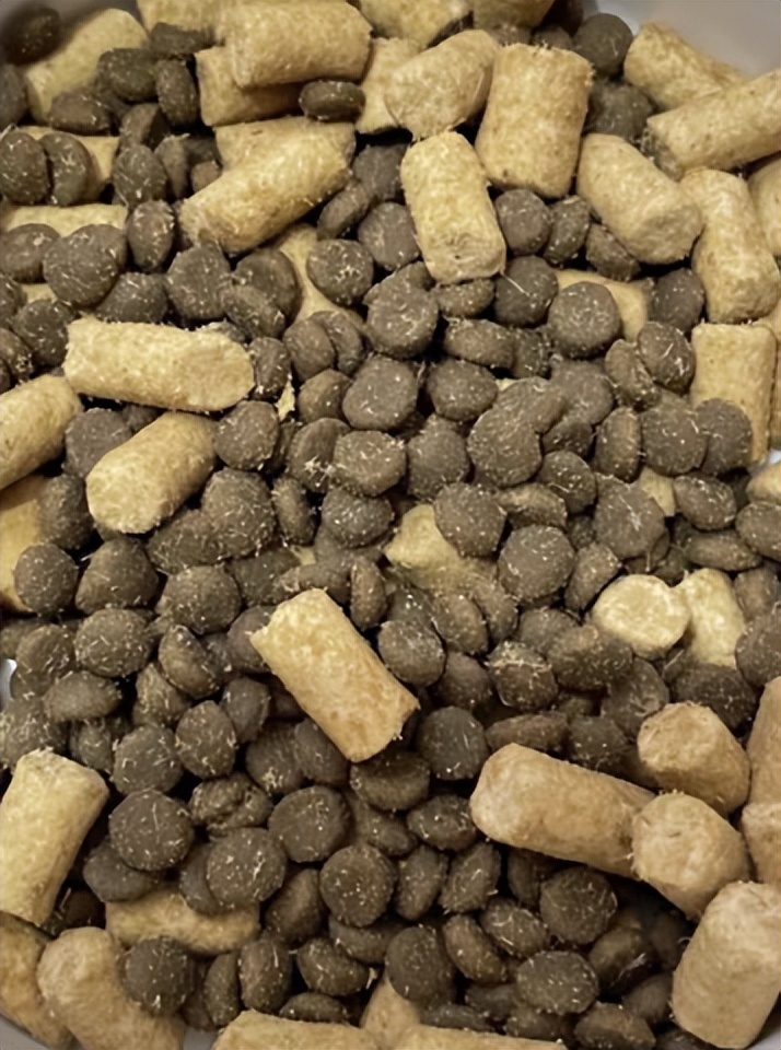 猫冻干测评报告,猫测评食物