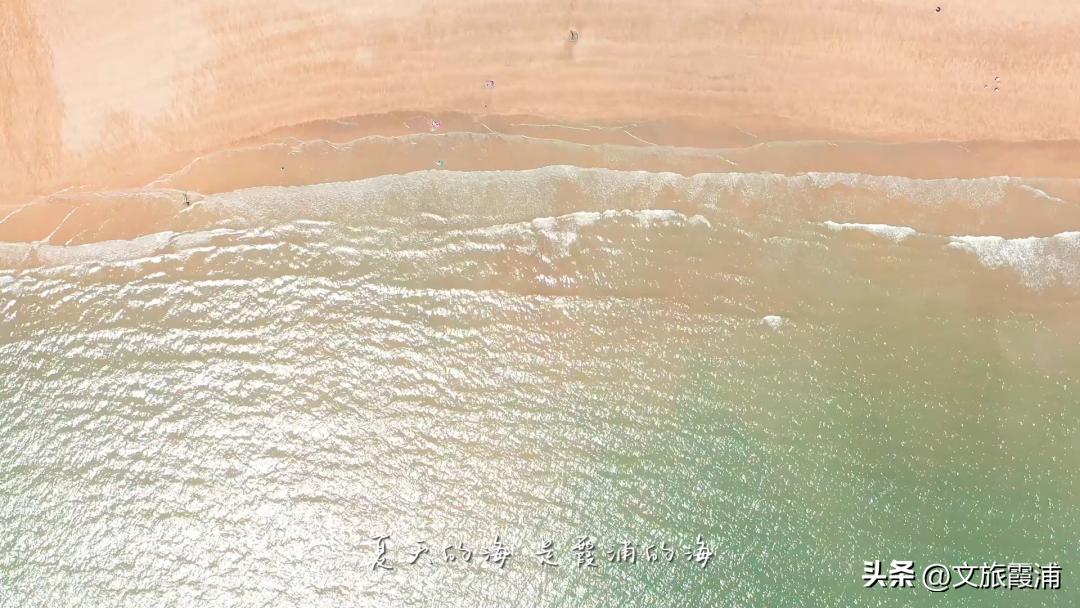 东海1号海钓,东海1号