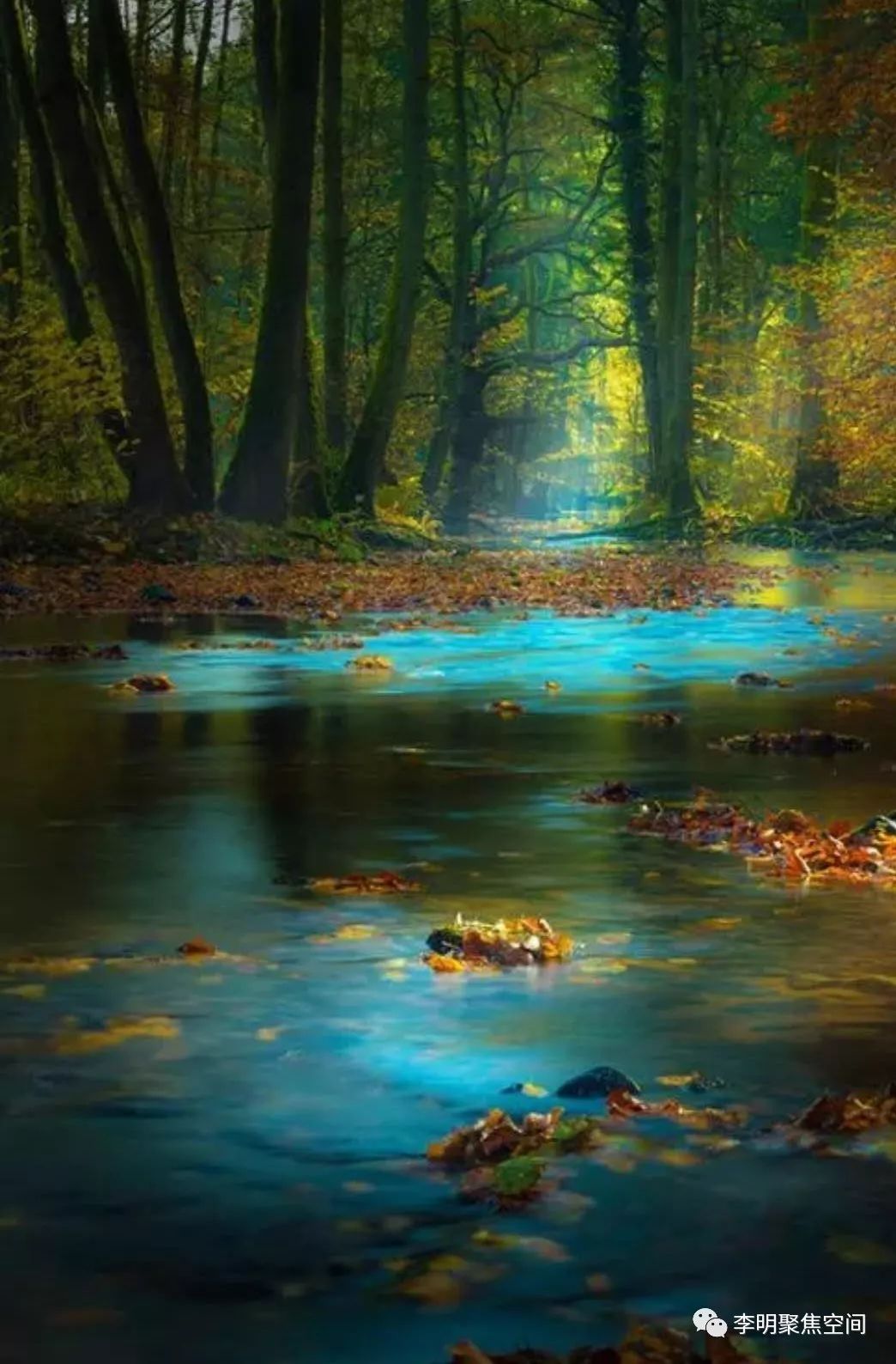 可以让来访者做聚焦吗？