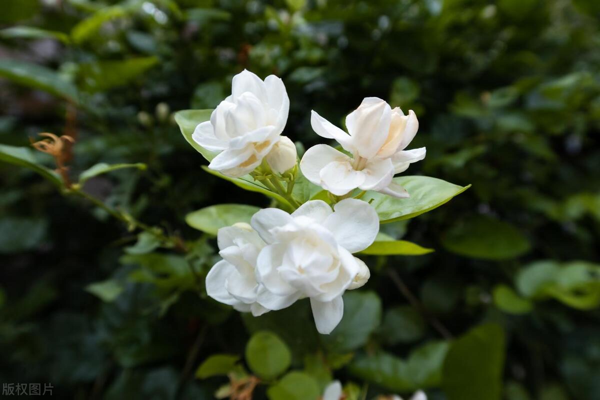 60岁婆婆喜欢说“边娱乐边赚钱”，可我对她的“赚钱经验”很苦恼