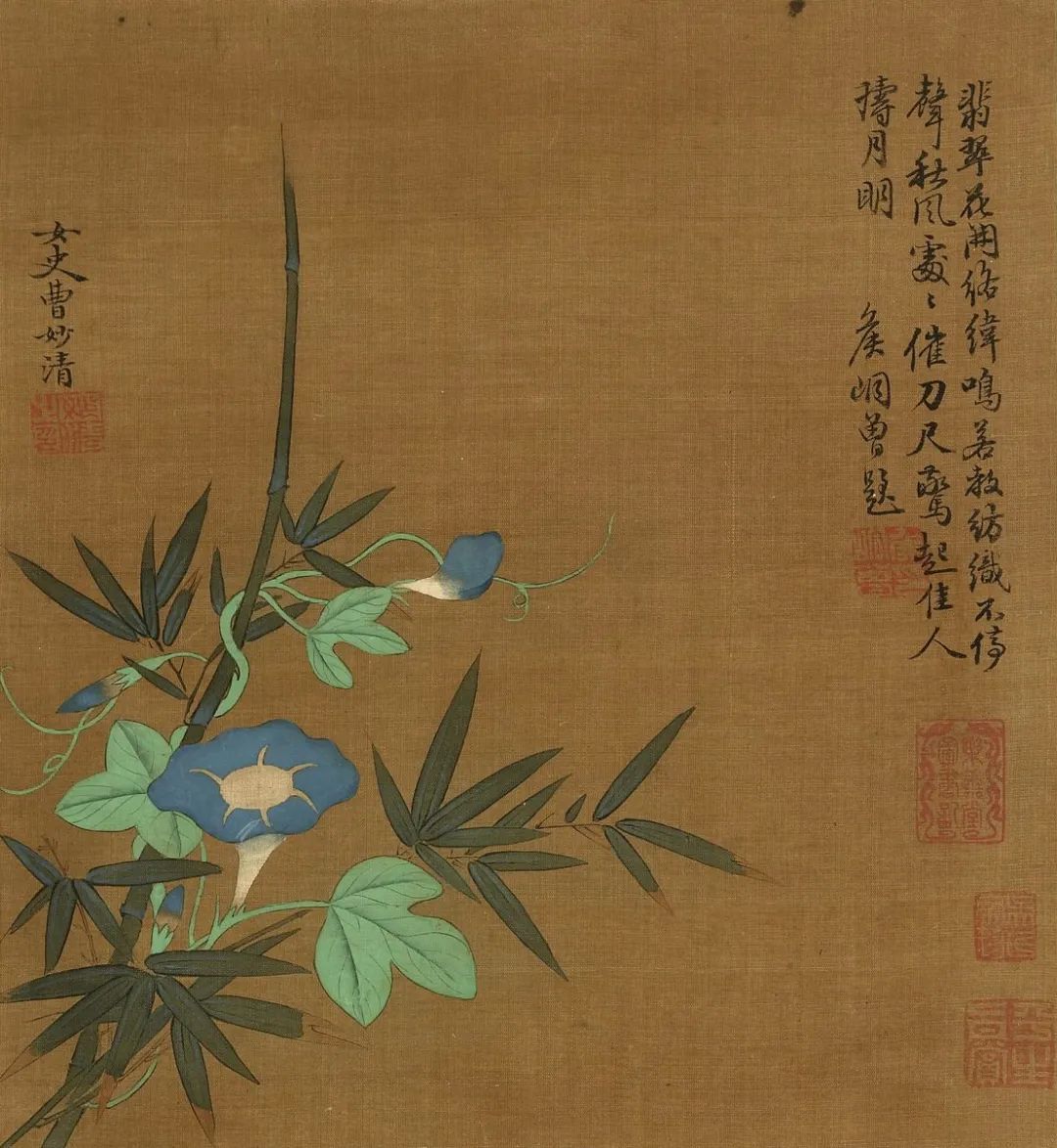 慕容看世界的视频,慕容看世界所有视频