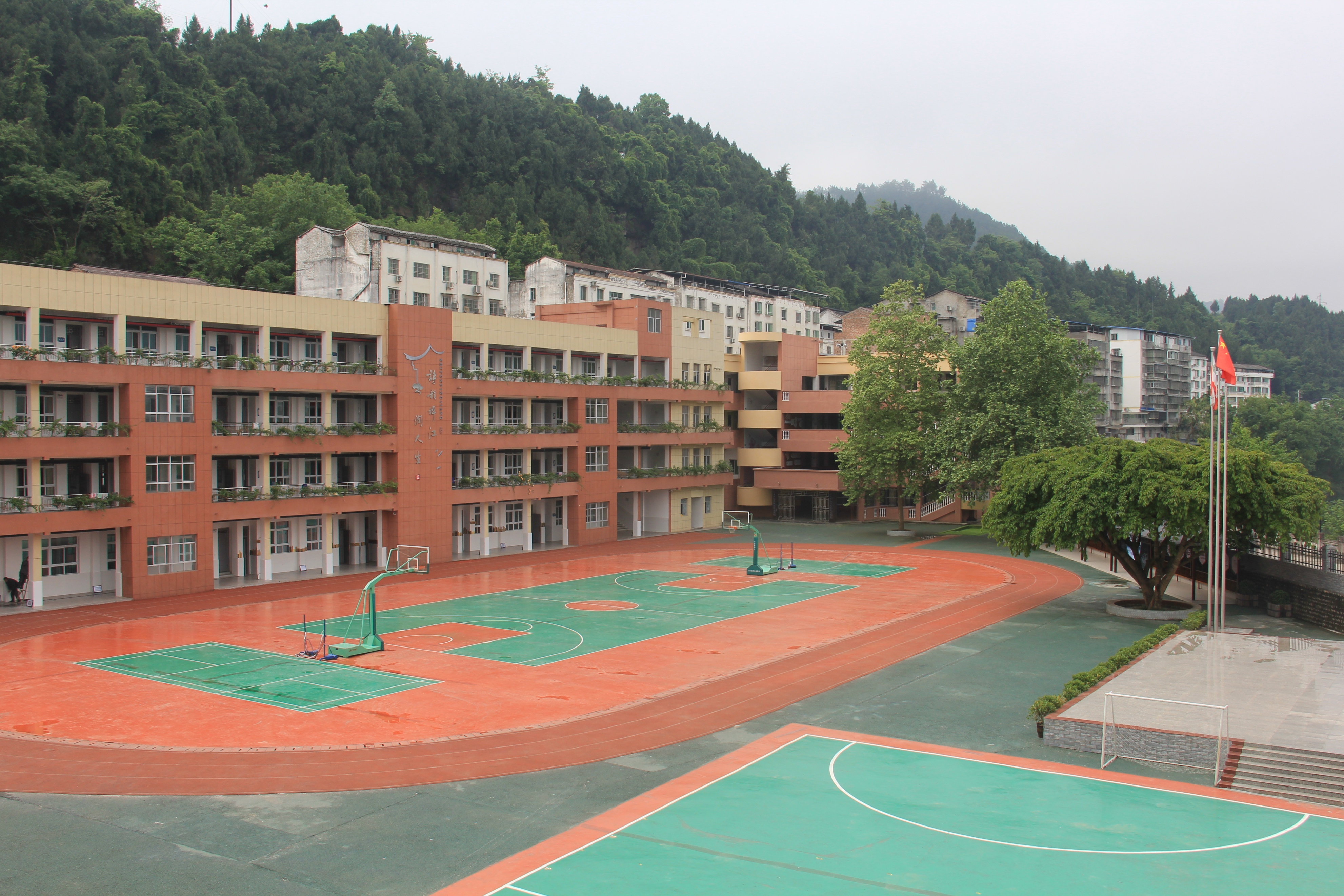 四川省广元市苍溪县歧坪镇学校,苍溪歧坪中心小学