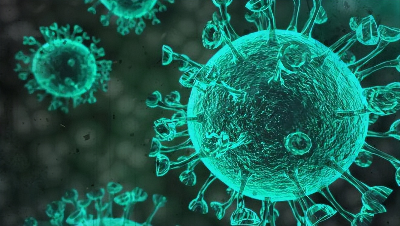 张文宏讲疫情要多吃蛋白质,张文宏说每天吃两个鸡蛋能抗疫情