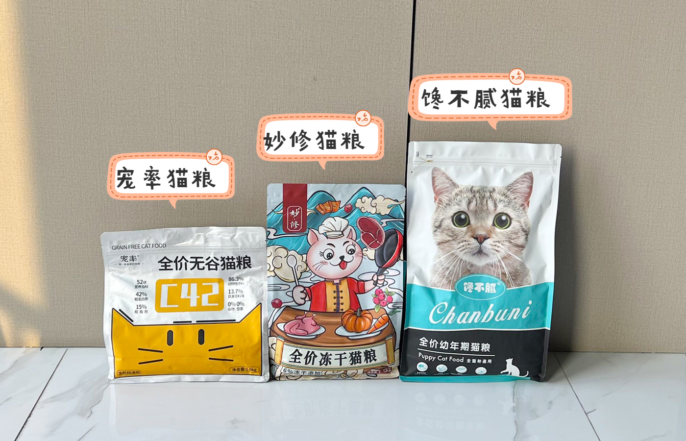 哪10种猫咪既便宜又好养排行榜,新手不建议养的猫咪有哪些