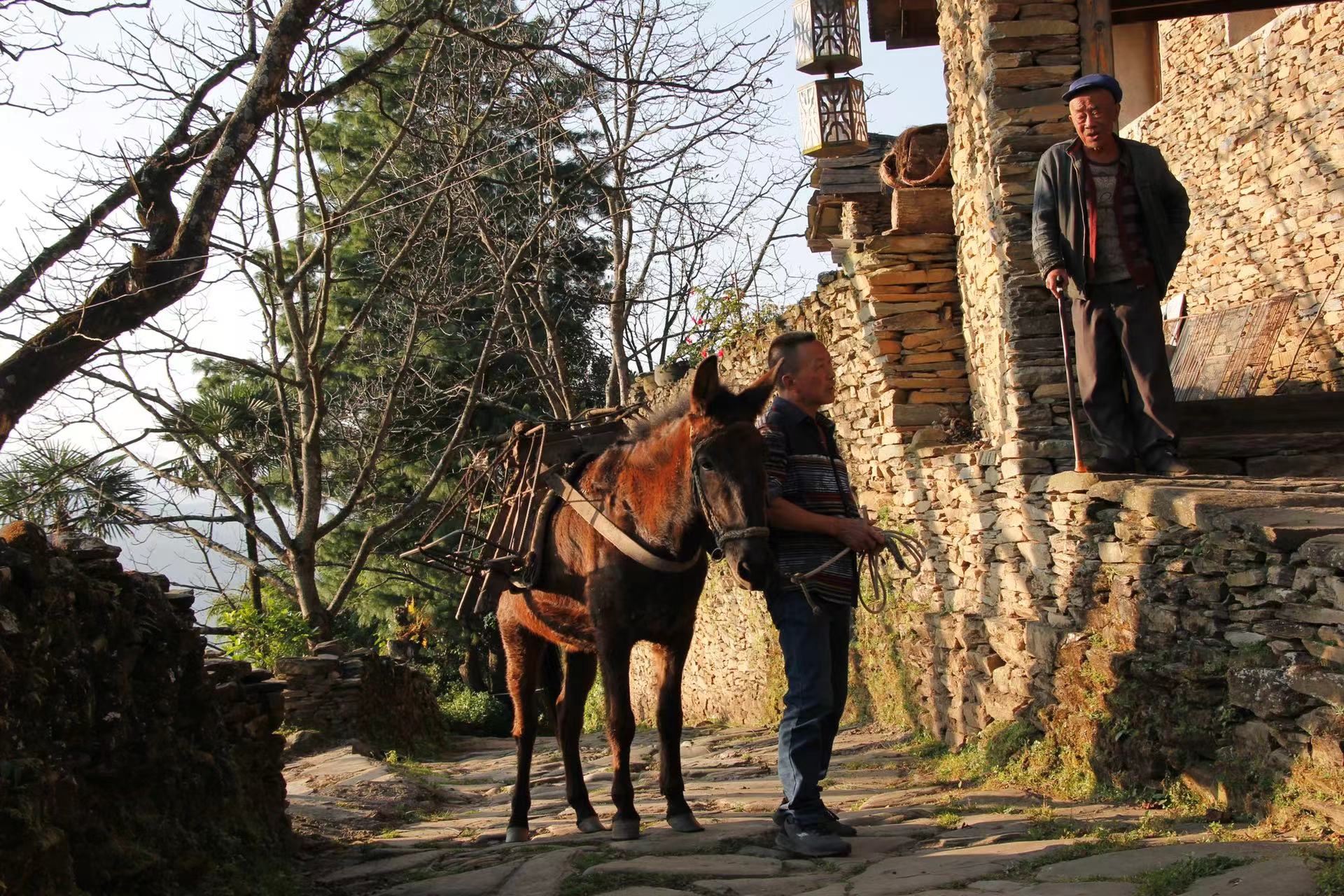 凤庆滇红自然条件,凤庆滇红茶叶之乡简介