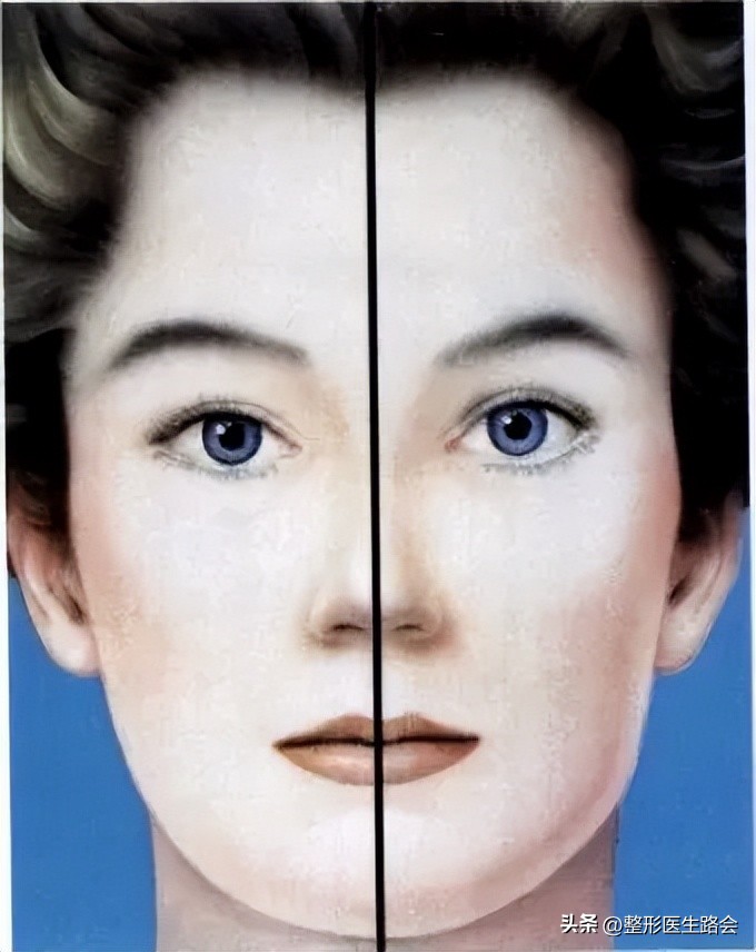 鼻部美学四个关键角度,鼻部美学标准图解