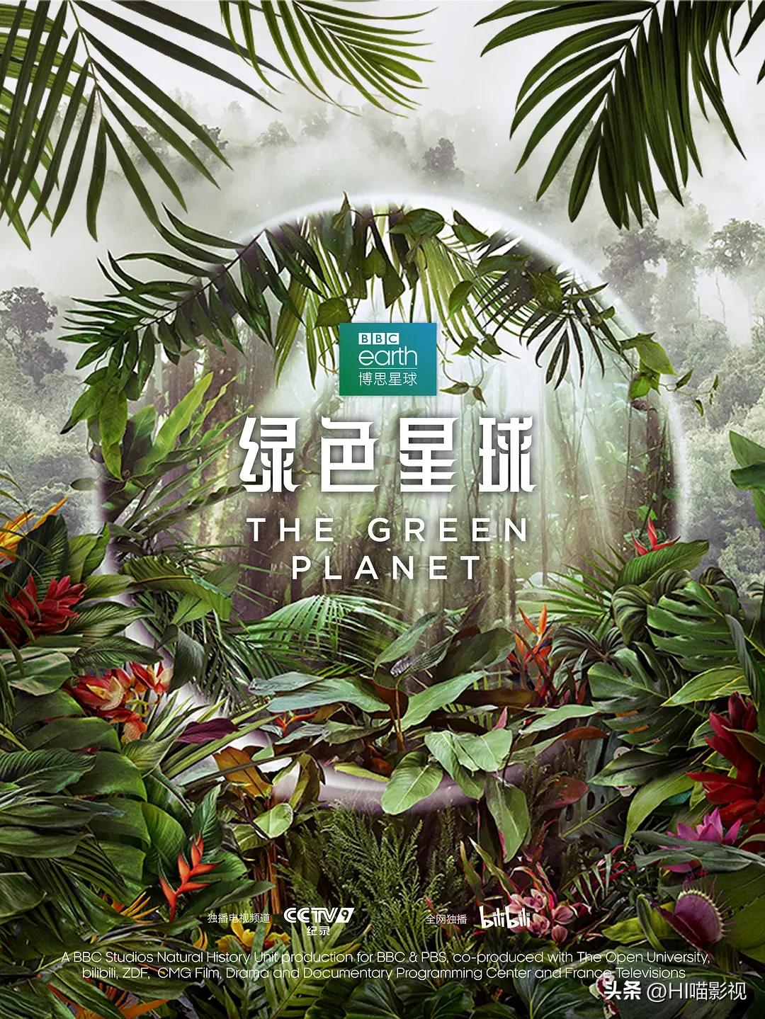 提高认知增长知识的高分纪录片,孩子必看的5部纪录片