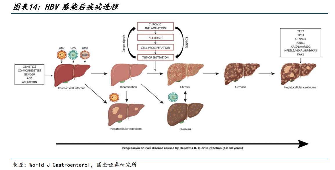 特宝生物乙肝,特宝生物乙肝新药