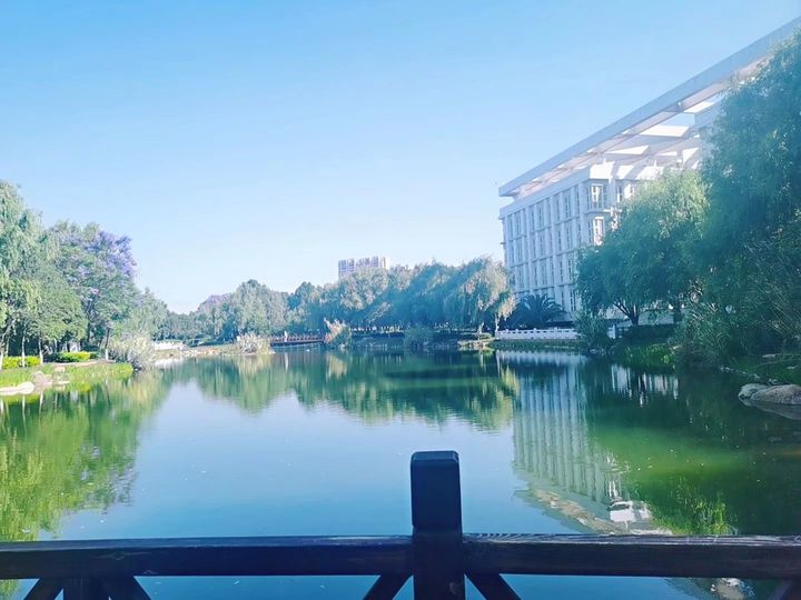 云南高校最新排名,云南各大高校排名