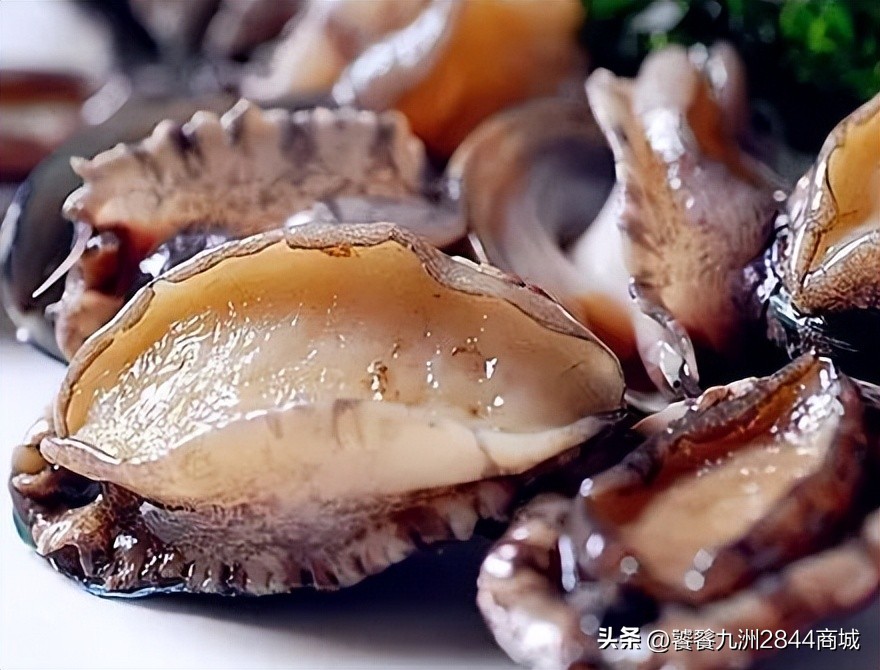 哪个城市海鲜又便宜又好吃,中国海鲜美食之都是哪个城市