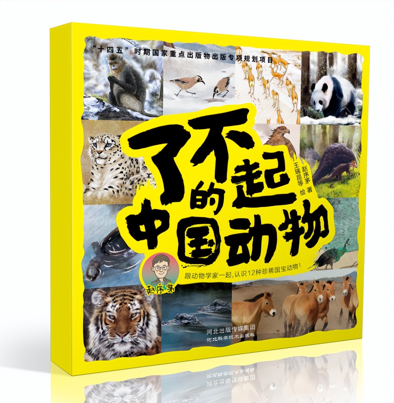 100篇优秀书评800字,优秀书评800字