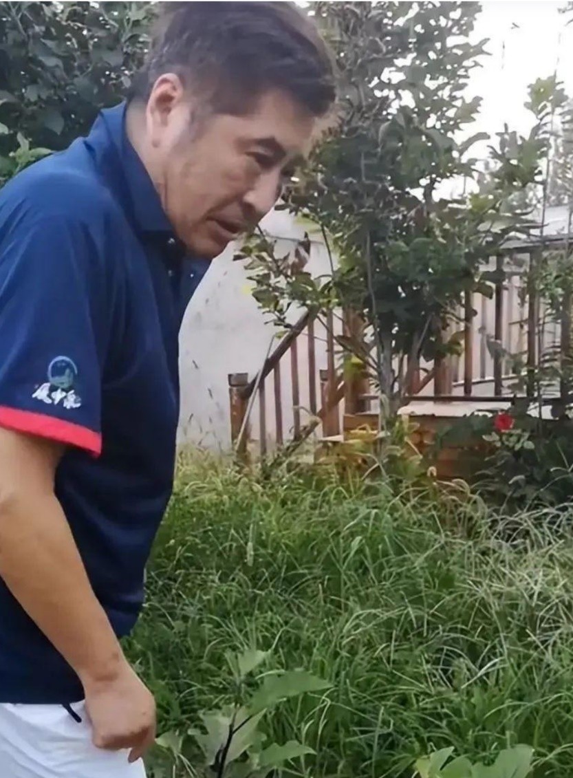 10位港星内地定居,10位定居内地的过气港星