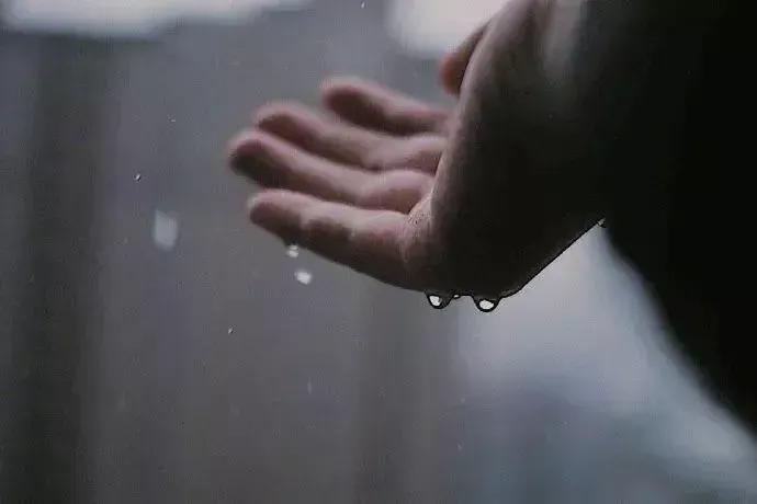 我的妈妈是位豪门保姆29,我的妈妈是位豪门保姆104