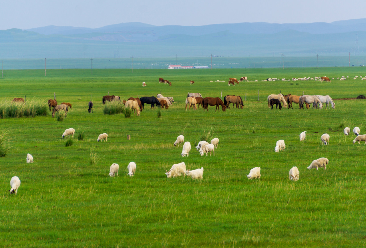 从广州自驾内蒙赤峰最佳路线,自驾内蒙赤峰环线