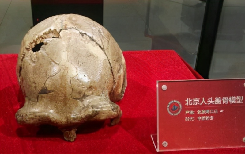 尼克松访华送给中国什么树,尼克松送给中国的礼物