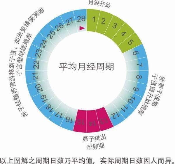 人类全身褪去毛发后，为什么只留下头发、阴毛和腋毛？
