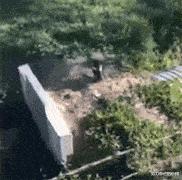 女生上学和出去玩的区别,女生在上课穿校服