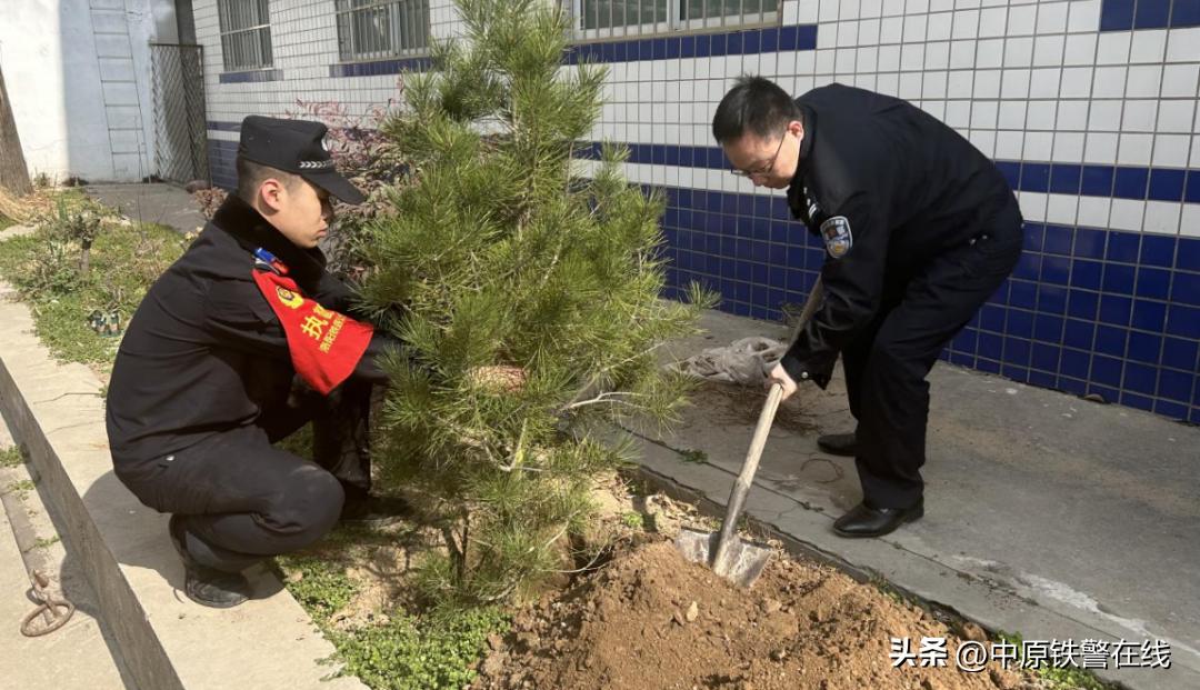 拥抱春天播种希望植树节手抄报,植树节拥抱春天播种梦想主题班会