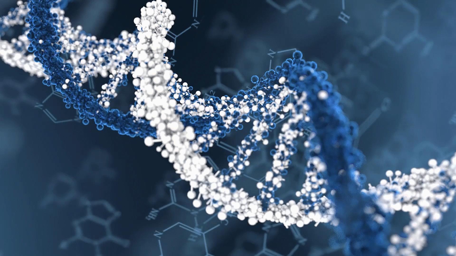 rho激酶抑制剂多少钱,rho激酶抑制剂是什么