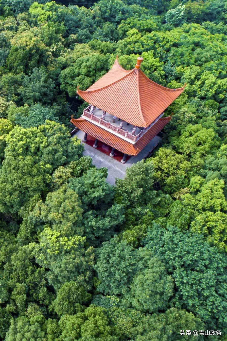 2023青山绿水红钢城半程马拉松,青山马拉松开幕式